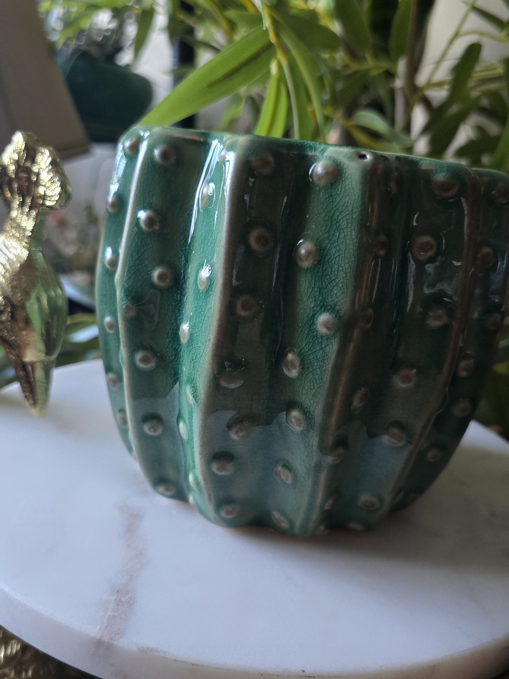 Green Ceramic Cactus Planter - Glossy